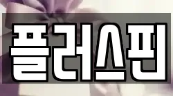 플러스핀