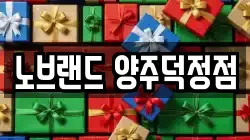 노브랜드 양주덕정점