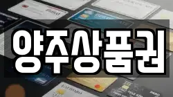 경기 양주시 율정동 전당포, 상품권판매, 상품권매매, 환전