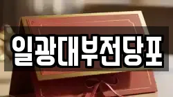 일광대부전당포