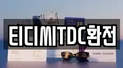 티디씨TDC환전