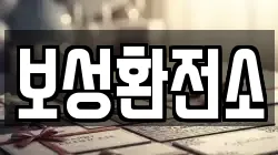 보성환전소