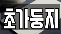 초가둥지