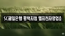 SC제일은행 평택지점 엘지전자영업소