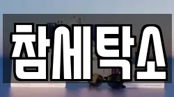 참세탁소
