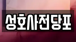 성호사전당포