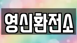 영신환전소
