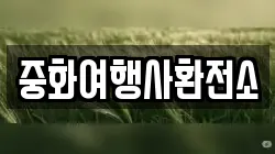 중화여행사환전소