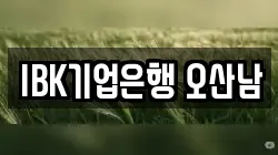 IBK기업은행 오산남