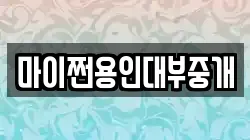 마이쩐용인대부중개