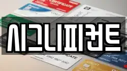 시그니피컨트