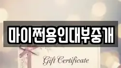 마이쩐용인대부중개