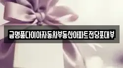 금명품다이아자동차부동산아파트전당포대부