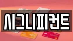 시그니피컨트