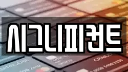 시그니피컨트