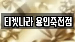 티켓나라 용인죽전점