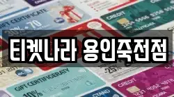 티켓나라 용인죽전점