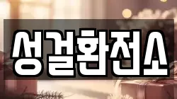 성걸환전소