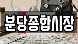 분당종합시장