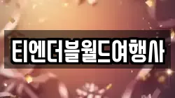 티엔더블월드여행사