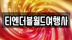 티엔더블월드여행사