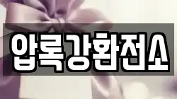 압록강환전소