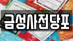 금성사전당포