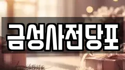 금성사전당포