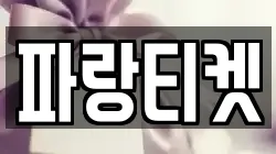 파랑티켓
