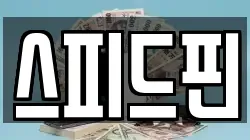 스피드핀