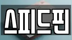 스피드핀
