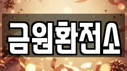 금원환전소