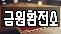 금원환전소