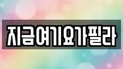 지금여기요가필라