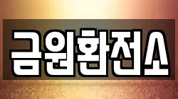 금원환전소