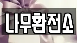 나무환전소