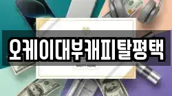 오케이대부캐피탈평택
