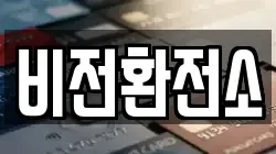 비전환전소