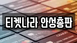 티켓나라 안성총판