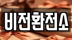 비전환전소