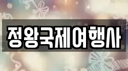 정왕국제여행사