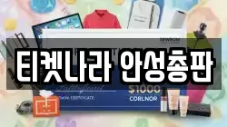 티켓나라 안성총판