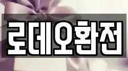 로데오환전