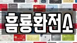 흠룡환전소