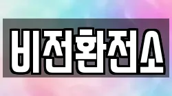 비전환전소