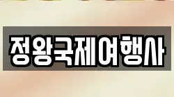 정왕국제여행사