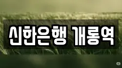 신한은행 개롱역