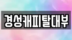 경성캐피탈대부