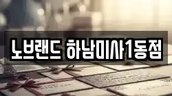 노브랜드 하남미사1동점