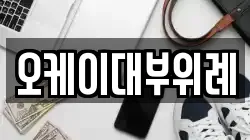 오케이대부위례